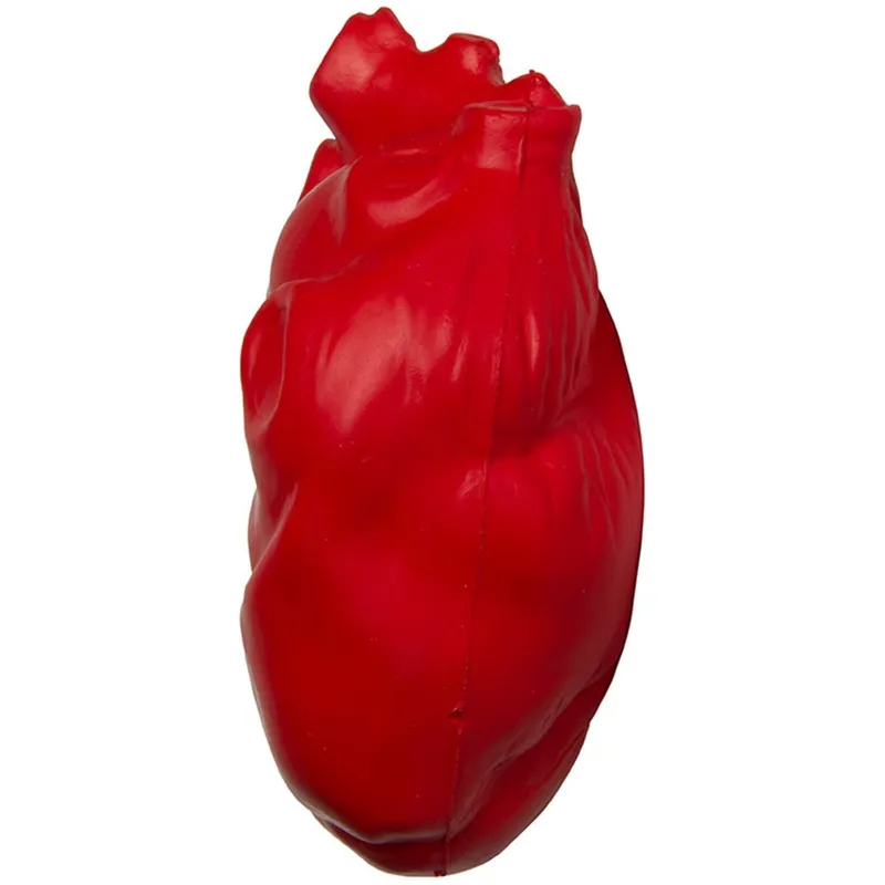 Anatomical Heart Stress Reliever view 4
