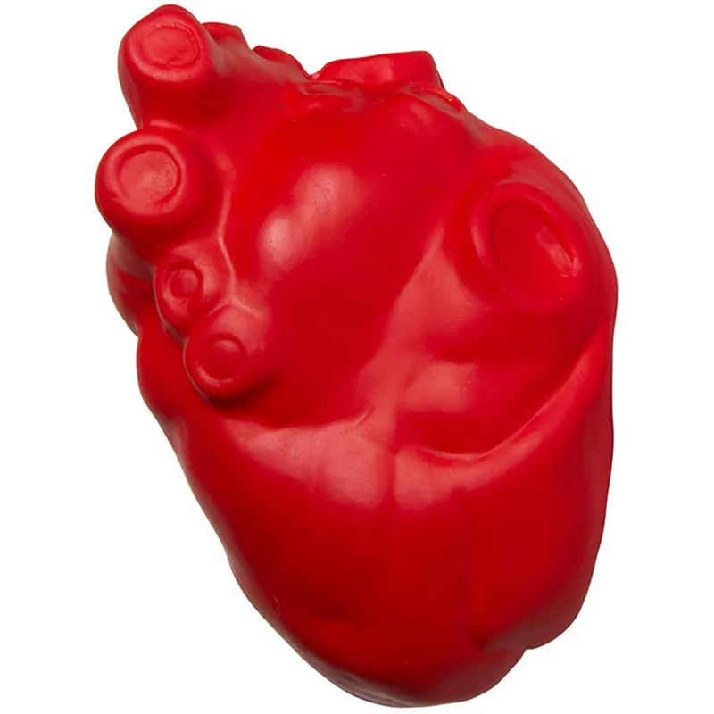 Anatomical Heart Stress Reliever view 2
