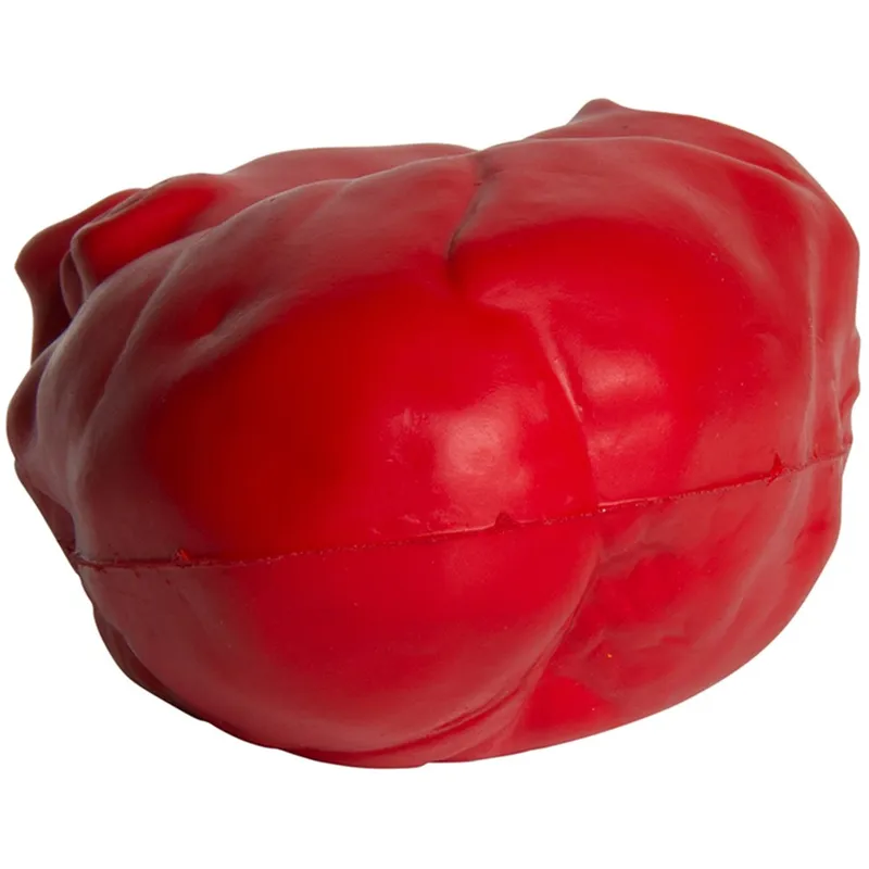 Anatomical Heart Stress Reliever view 6