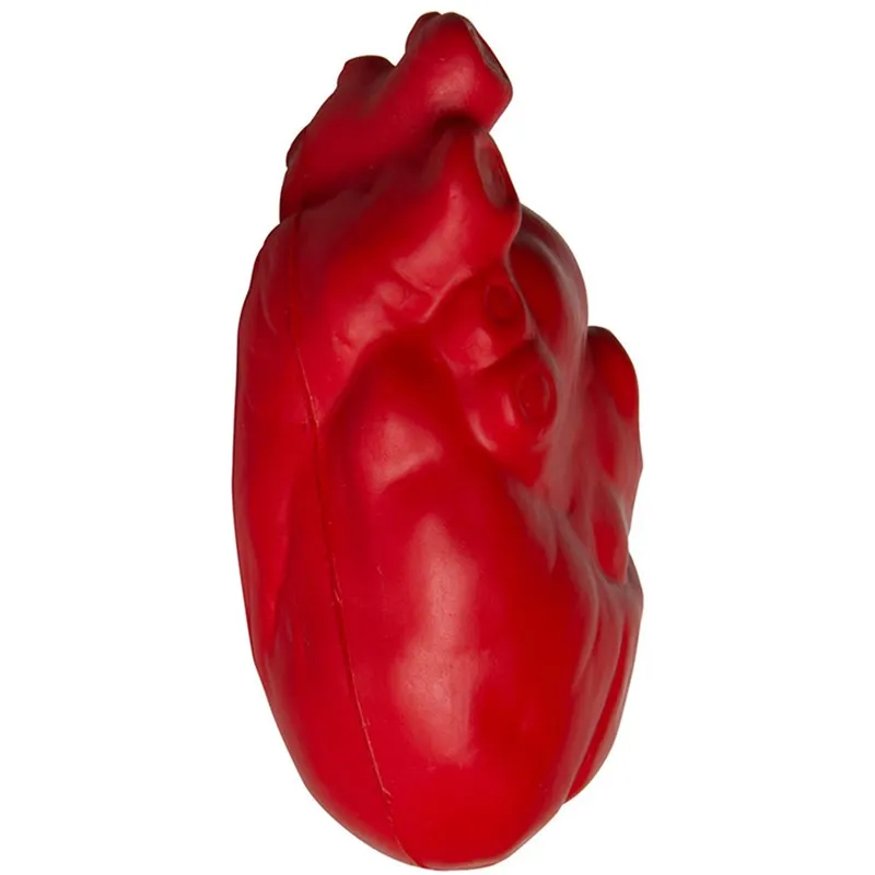 Anatomical Heart Stress Reliever view 3