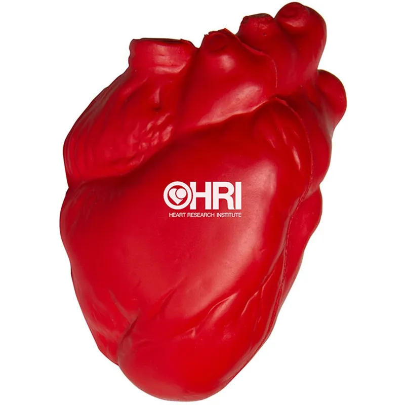 Anatomical Heart Stress Reliever view 7